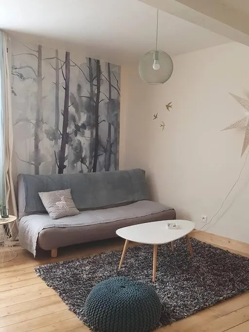 Apartament Bel Appartement, 2 Chambres, Centre Ville Thiers